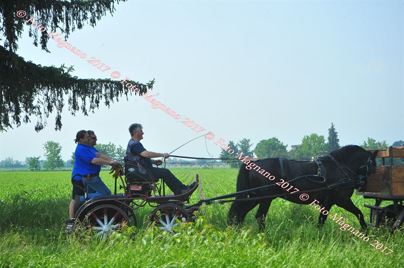 DSC_0824.JPG